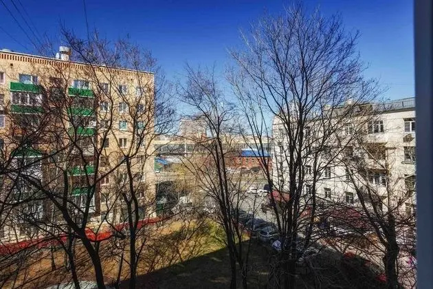 Apartment on B Kondratievskii 12 bld 1 - Oda Manzaraları