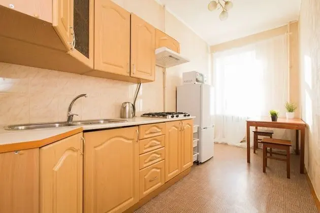 Apartment on Bolshaya Pokrovskaya 30A - Mutfak