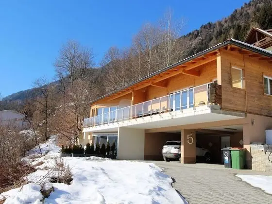 Apartment in Carinthia With Barbecue, Ski Storage, Balcony