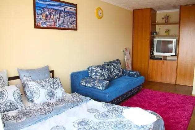 Apartment on Chelyuskintsev 23 10 floor - İç Mekan