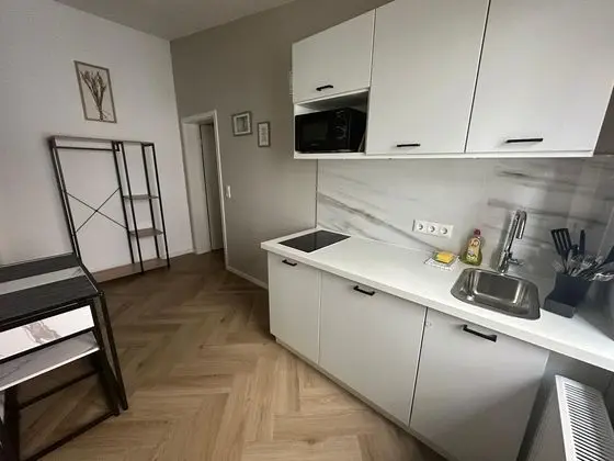 Apartment City Lenaustraße - contactless check in - Mutfak