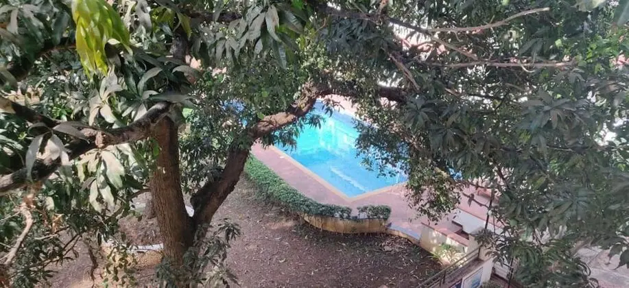 Apartment in Colva, Goa With Pool & Gym - Havuz