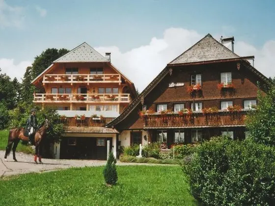 Apartment in Dachsberg With Garden, BBQ & Bar - Dış Mekan