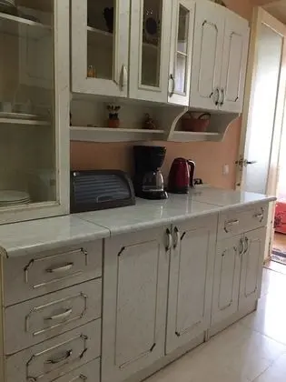 Apartment on Dimitri Uznaze - Mutfak