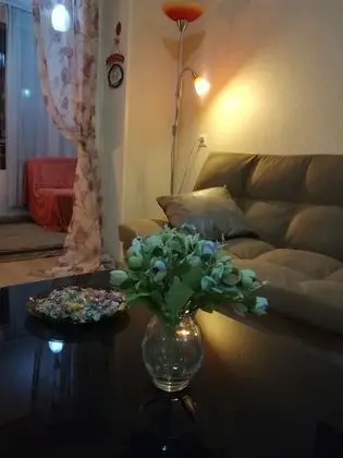 Apartment on Dimitri Uznaze - Oda