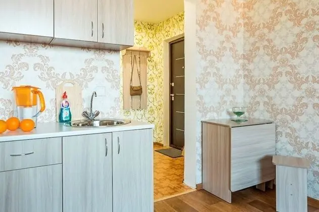 Apartment Economy on Piskunova 148-2 - Mutfak