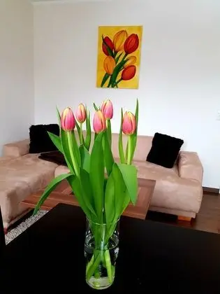 Apartment on the Elbe Ferry - Apartment for 2 - 3 People