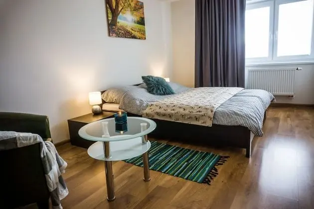 Apartment Eric 9D High Tatras