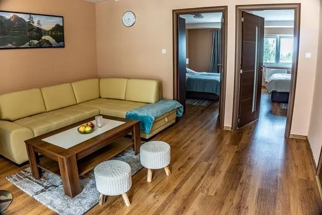 Apartment Eric D11 High Tatras - İç Mekan