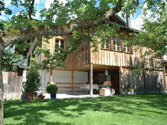 Apartment in Frutigen With Garden, Terrace, Garden Furniture