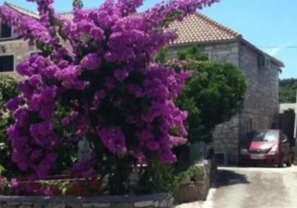 Apartment Glavica - Dış Mekan
