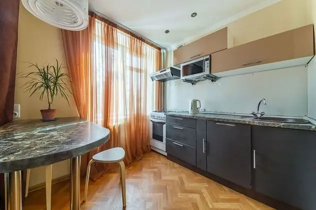 Apartment Hanaka 1-ya Vladimirskaya 18 - Mutfak