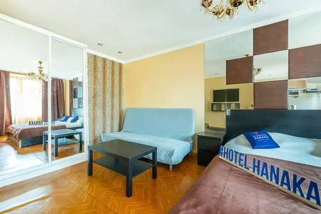 Apartment Hanaka 1-ya Vladimirskaya 18 - Oda
