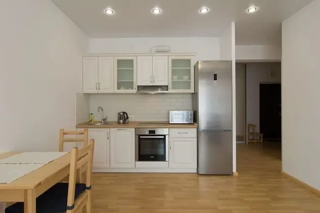 Hotel in Apartment Irkutsk - Mutfak