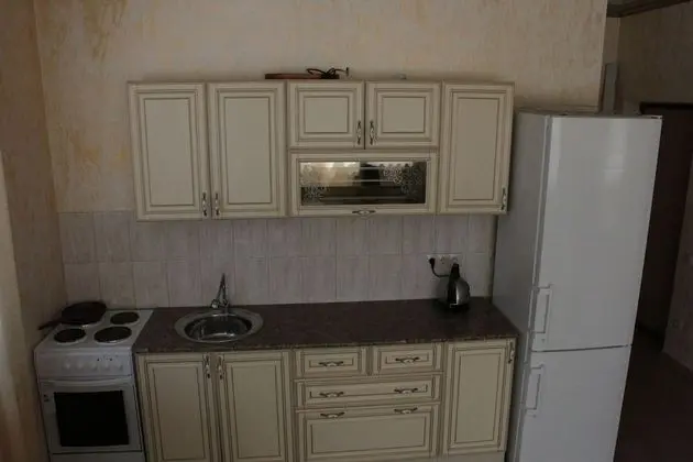 Apartment on Kamyshovaya 41, apt 2 - Mutfak