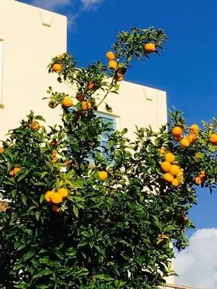 Apartment in Kato Paphos - Dış Mekan