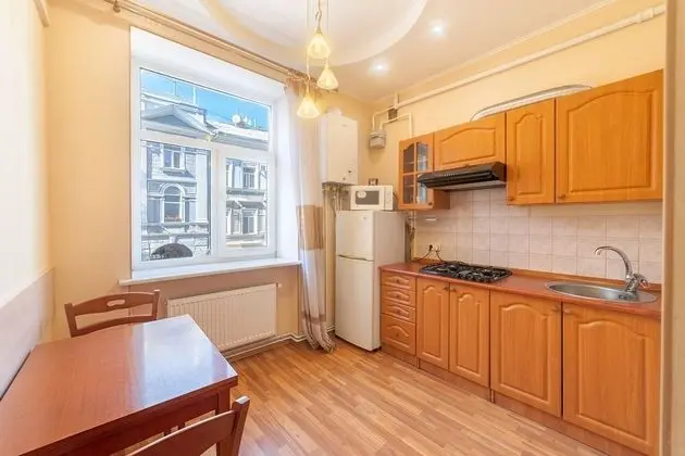 Apartment near Opera Theater - Mutfak