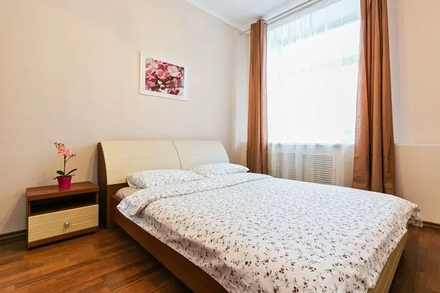 Apartment Nice Mayakovskaya