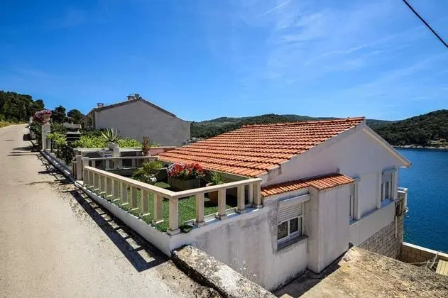 Apartment OM
