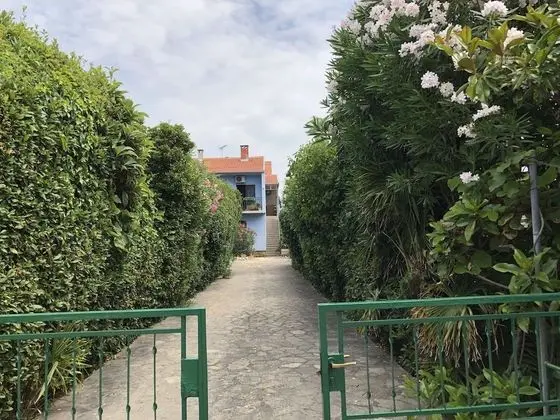 Apartment in Villa, Private Pool, big Garden, Close to sea and Old Zadar Town - Dış Mekan
