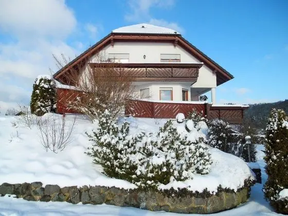 Apartment With Private Terrace and Mountain View in Medebach - Dış Mekan