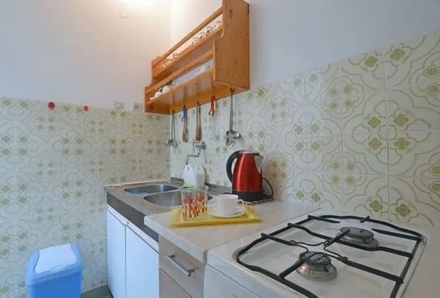 Apartment and Rooms Danica - Mutfak