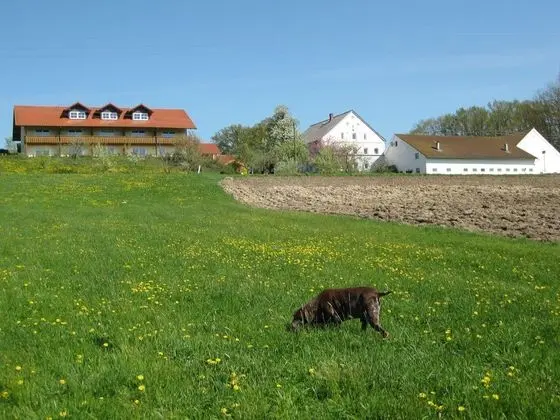 Apartment in Rotthalmünster With Terrace,garden,parking, BBQ - Dış Mekan