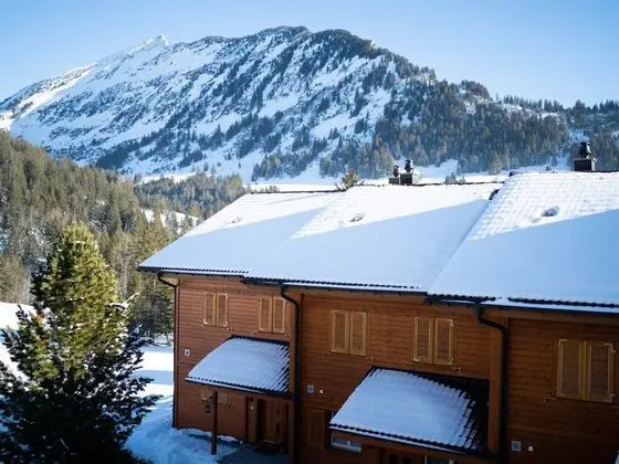 Apartment Rubin Amden