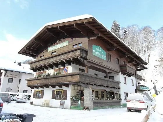 Apartment in Saalbach-hinterglemm Near Ski Area - Dış Mekan