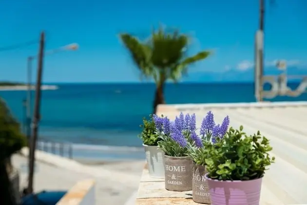 Apartment Sofia - Dış Mekan