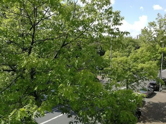 Apartment Sofia - Dış Mekan