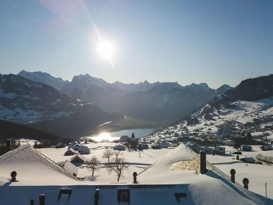 Apartment Soldanella Amden