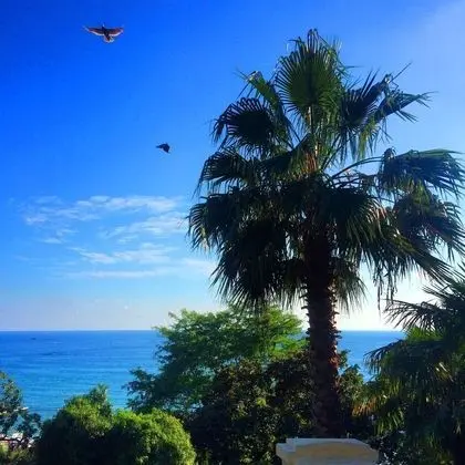 Apartment on Tsvetnoy Bulvar 44 Green Area 8 - Dış Mekan