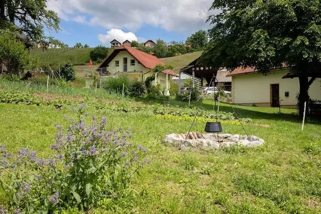 Apartment at the Vesel Homestead, Local Experience