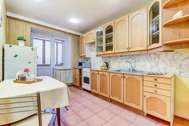 Apartment Vesta Savushkina - Mutfak