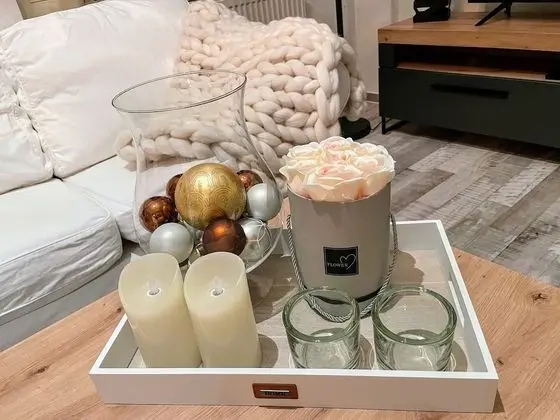 Apartment zur Wiege Anhalts