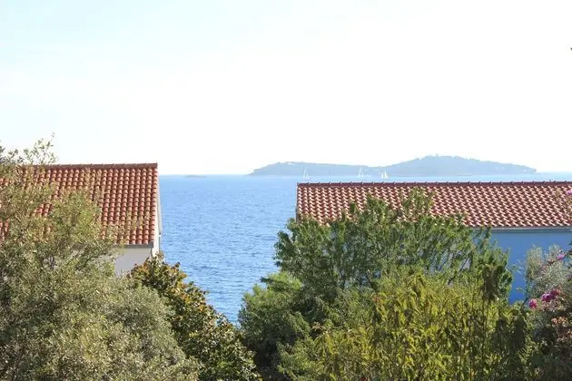 Apartments 4 Dolphins Rogoznica - Öne Çıkan Resim