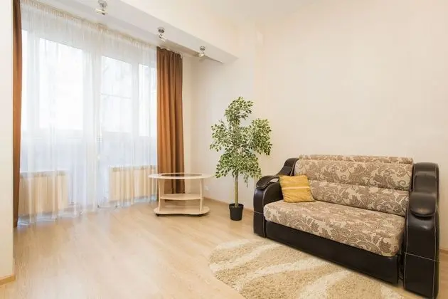 Apartments on Belinskogo 15 - apt 115 - Oda Düzeni