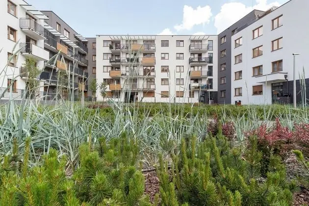 Apartments Claro II by Renters