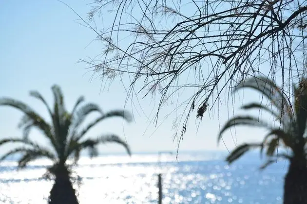 Apartments Dimitra - Havuz