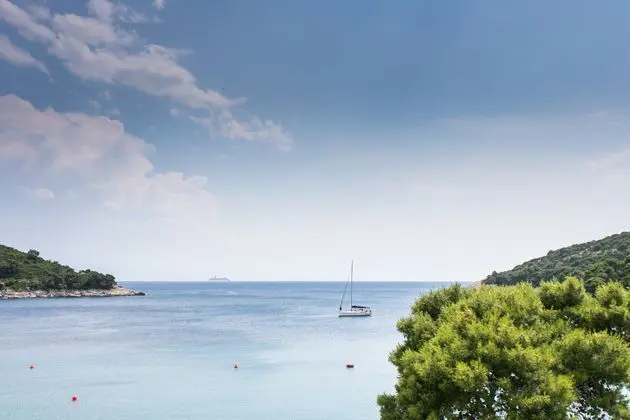 Apartments Franka Saplunara