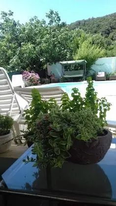 Apartments Gavacic - Dış Mekan