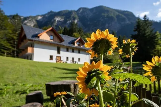 Apartments Goldhorn Kingdom