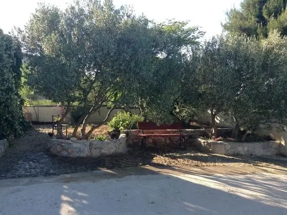 Apartments Ivana Murter - Dış Mekan