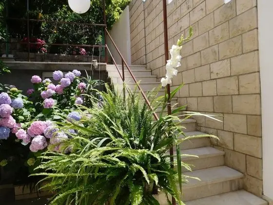 Apartments Ivancevic - Dış Mekan