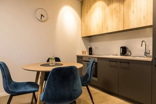 Apartments Laisve - Mutfak