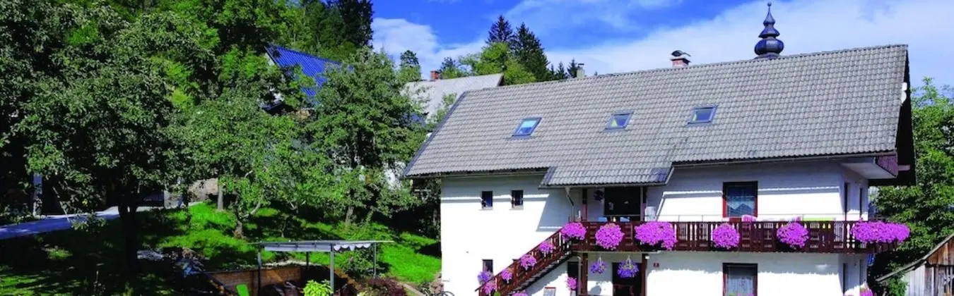 Apartments Lake Bohinj Medja