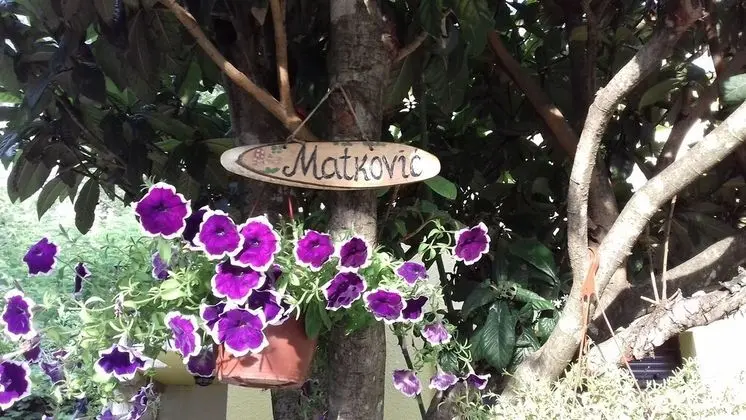 Apartments Matkovic - Lobi