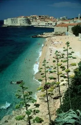 Apartments Nerio