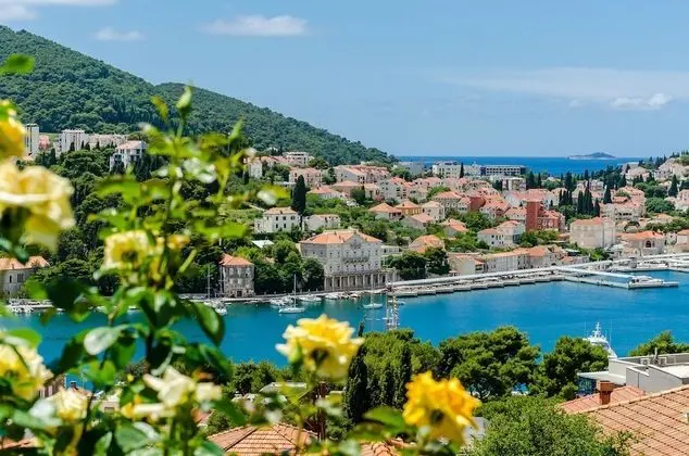 Apartments & Room Lino